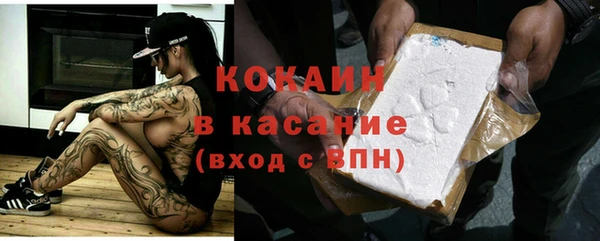 стаф Зеленокумск