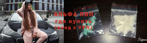 стаф Зеленокумск