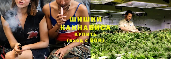 стаф Зеленокумск